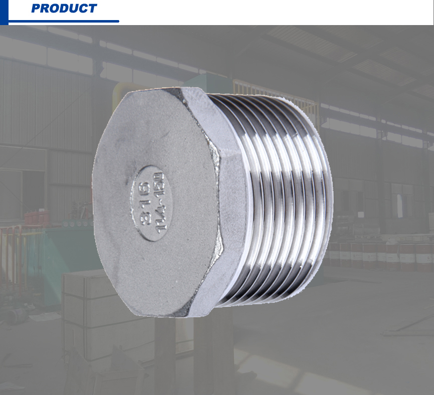 304 Bspt Cf8 Cf8M Stainless Steel Thread Fitting Hex Plug