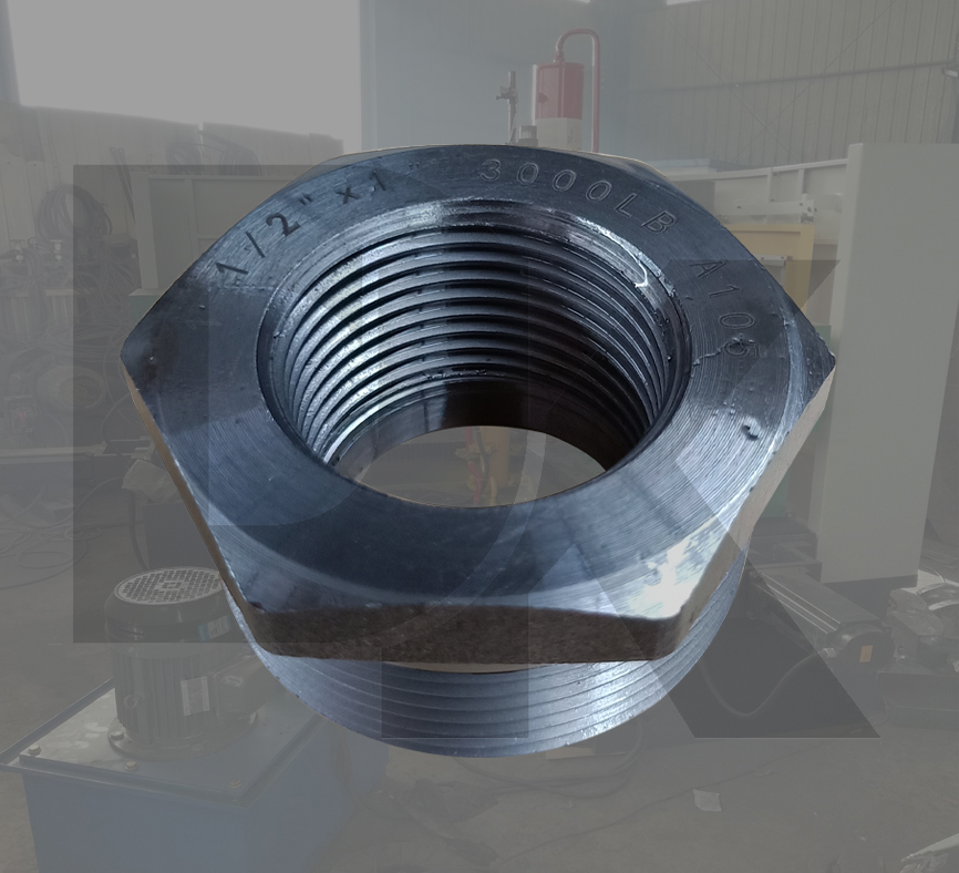 3000Lbs Npt Thread Forged Carbon Steel Hex Bushing