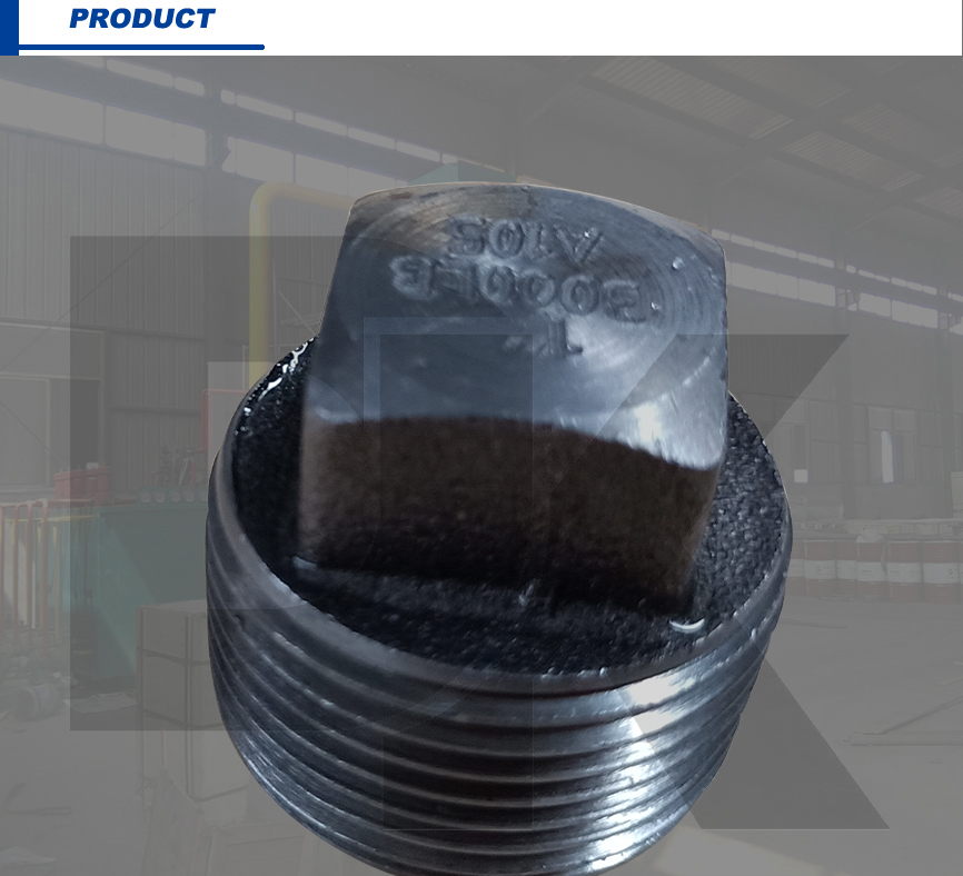 Class 3000 Asme B16.11 Forged Bspt Threaded Square Plug