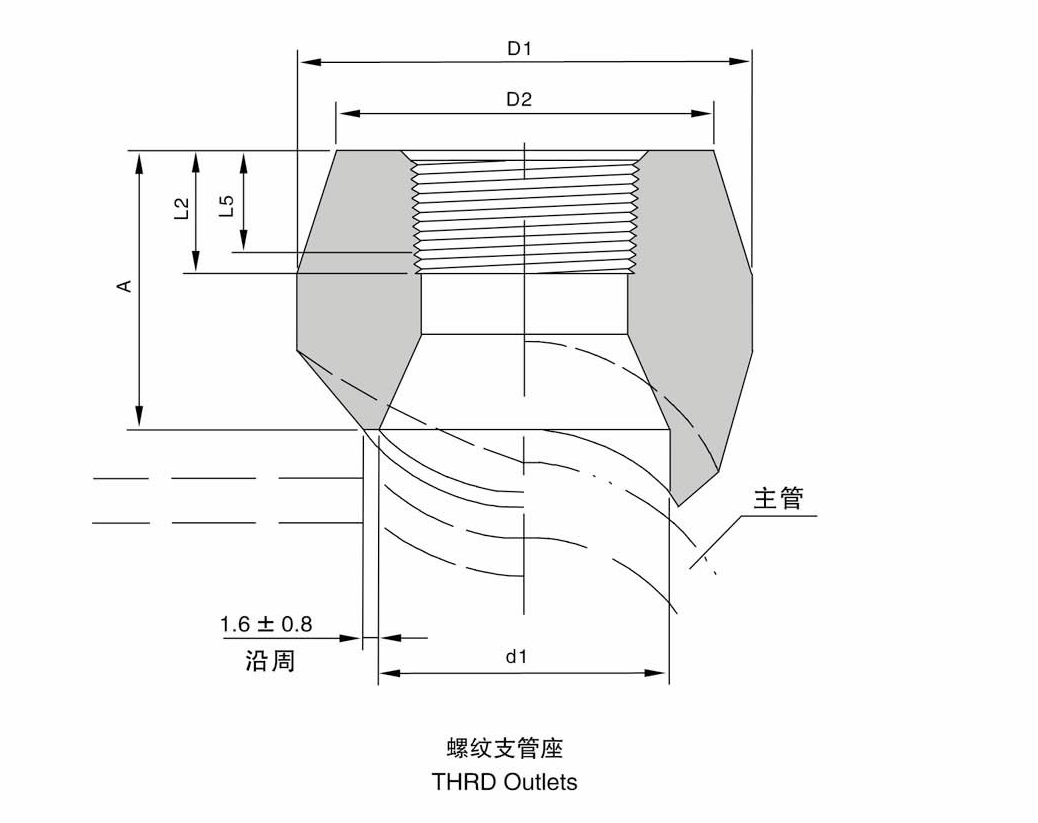 3000# A105 Forged Fitting Carbon Steel Outlet