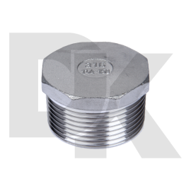 304 Bspt Cf8 Cf8M Stainless Steel Thread Fitting Hex Plug