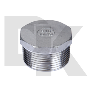 304 Bspt Cf8 Cf8M Stainless Steel Thread Fitting Hex Plug