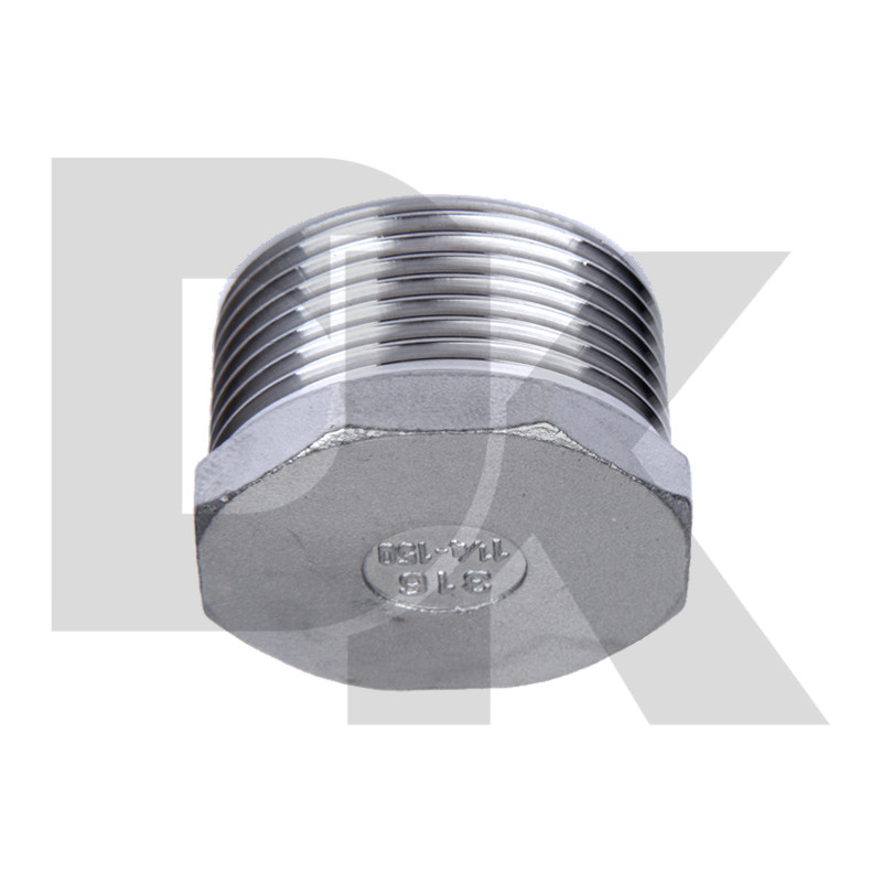 304 Bspt Cf8 Cf8M Stainless Steel Thread Fitting Hex Plug