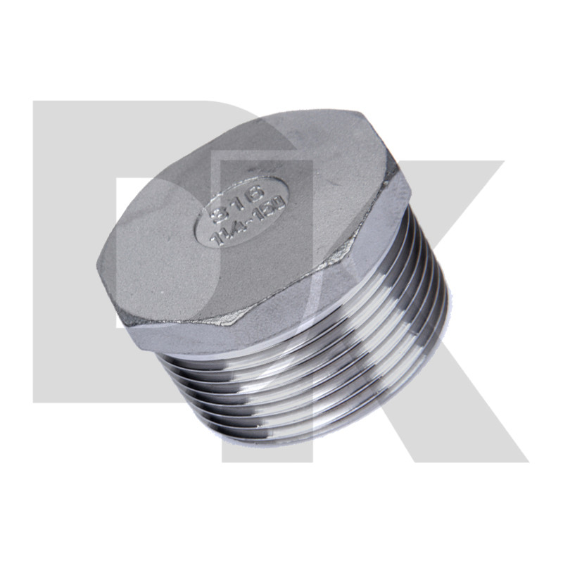 304 Bspt Cf8 Cf8M Stainless Steel Thread Fitting Hex Plug