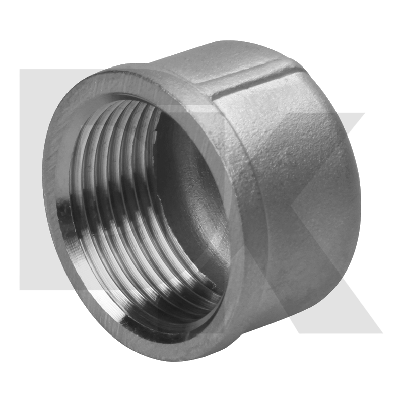 1/2inch Female Npt Thread 304 Cf8 Stainless Steel Round Cap