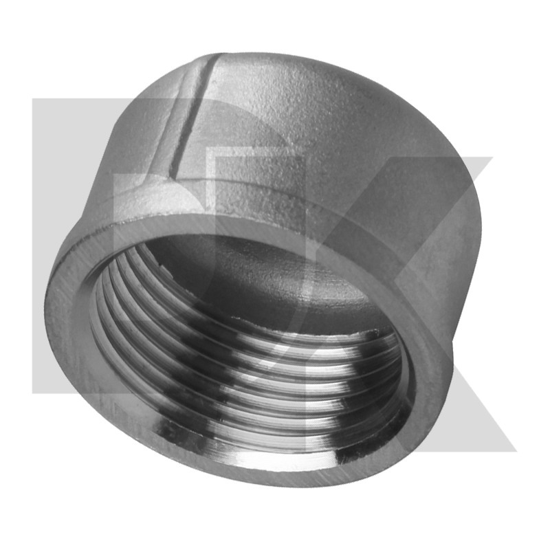 1/2inch Female Npt Thread 304 Cf8 Stainless Steel Round Cap