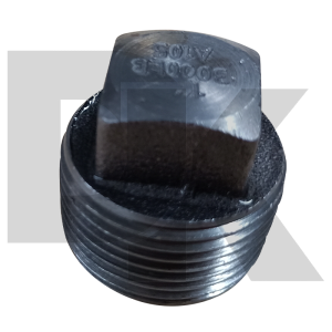 Class 3000 Asme B16.11 Forged Bspt Threaded Square Plug