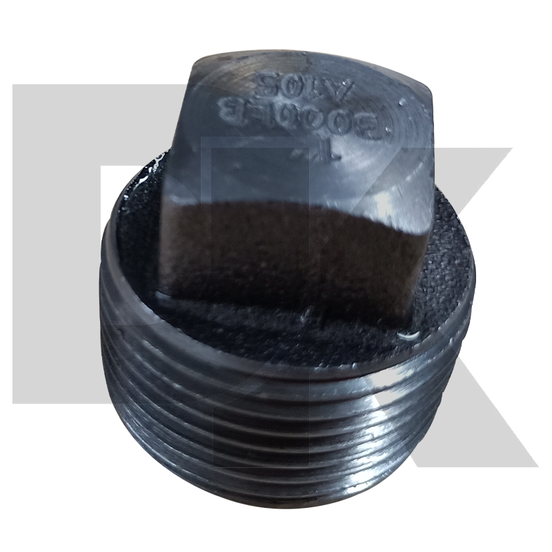 Class 3000 Asme B16.11 Forged Bspt Threaded Square Plug