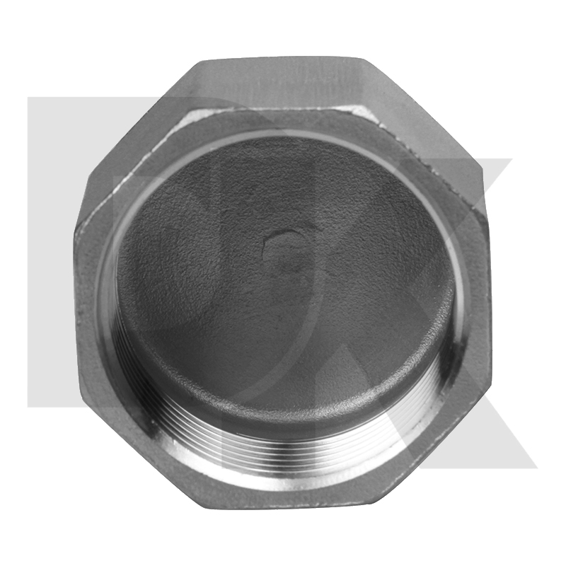 304 Stainless Steel Npt Bspt Thread Casting Fitting Cap